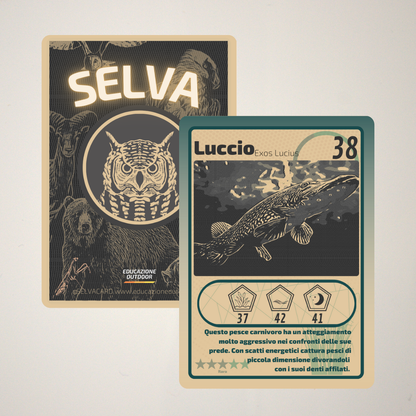 Pacchetto di Selva Cards