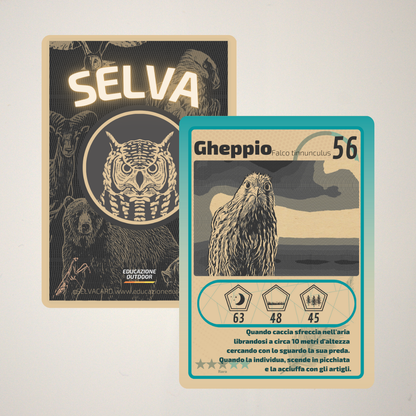 Pacchetto di Selva Cards