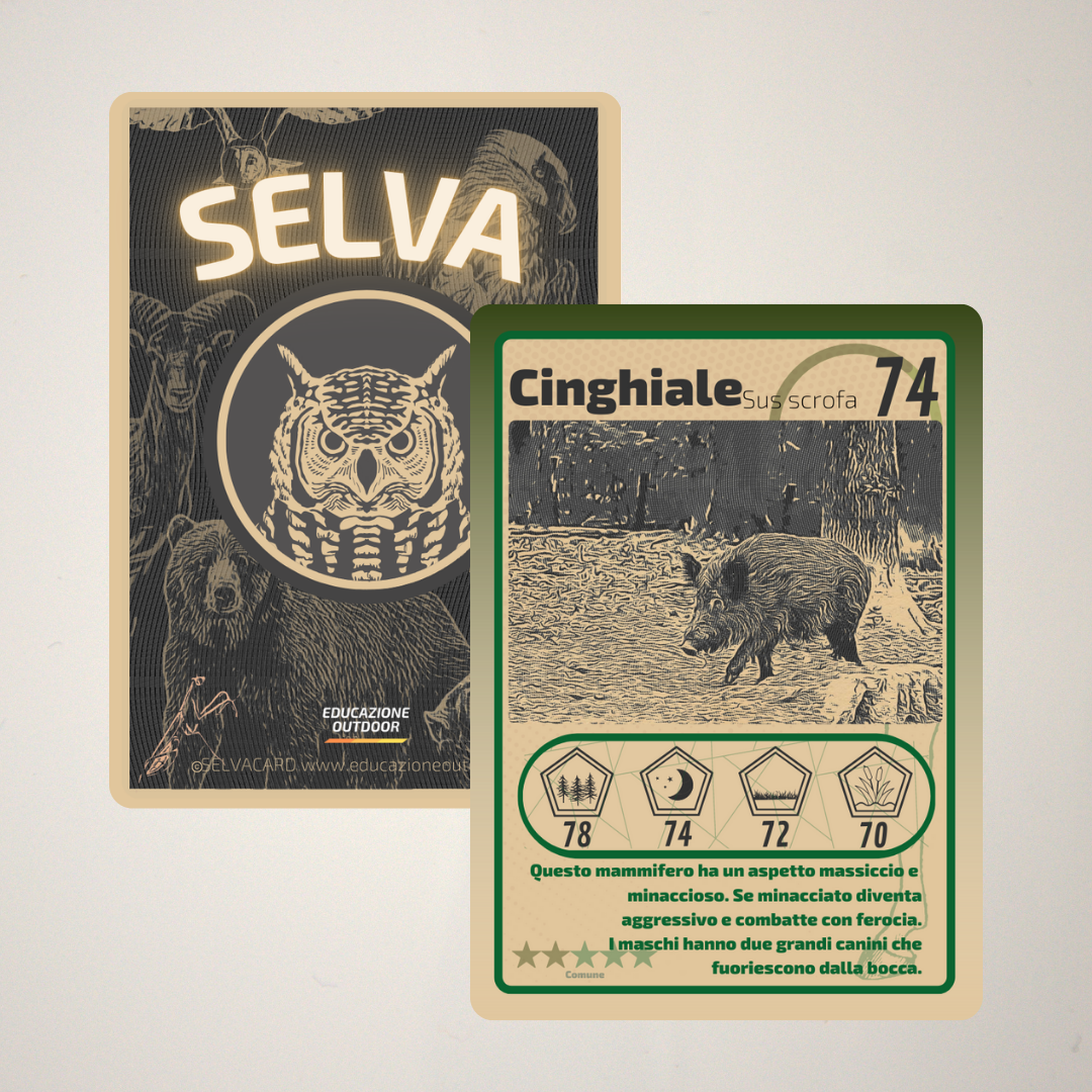 Pacchetto di Selva Cards